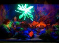 Blackbox aquarium snoezelen